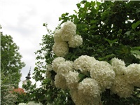 e885fa17-Picture 376.jpg